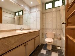 Hillview Park (D23), Condominium #562243071